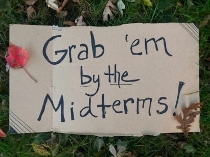 grab em by the midterms image